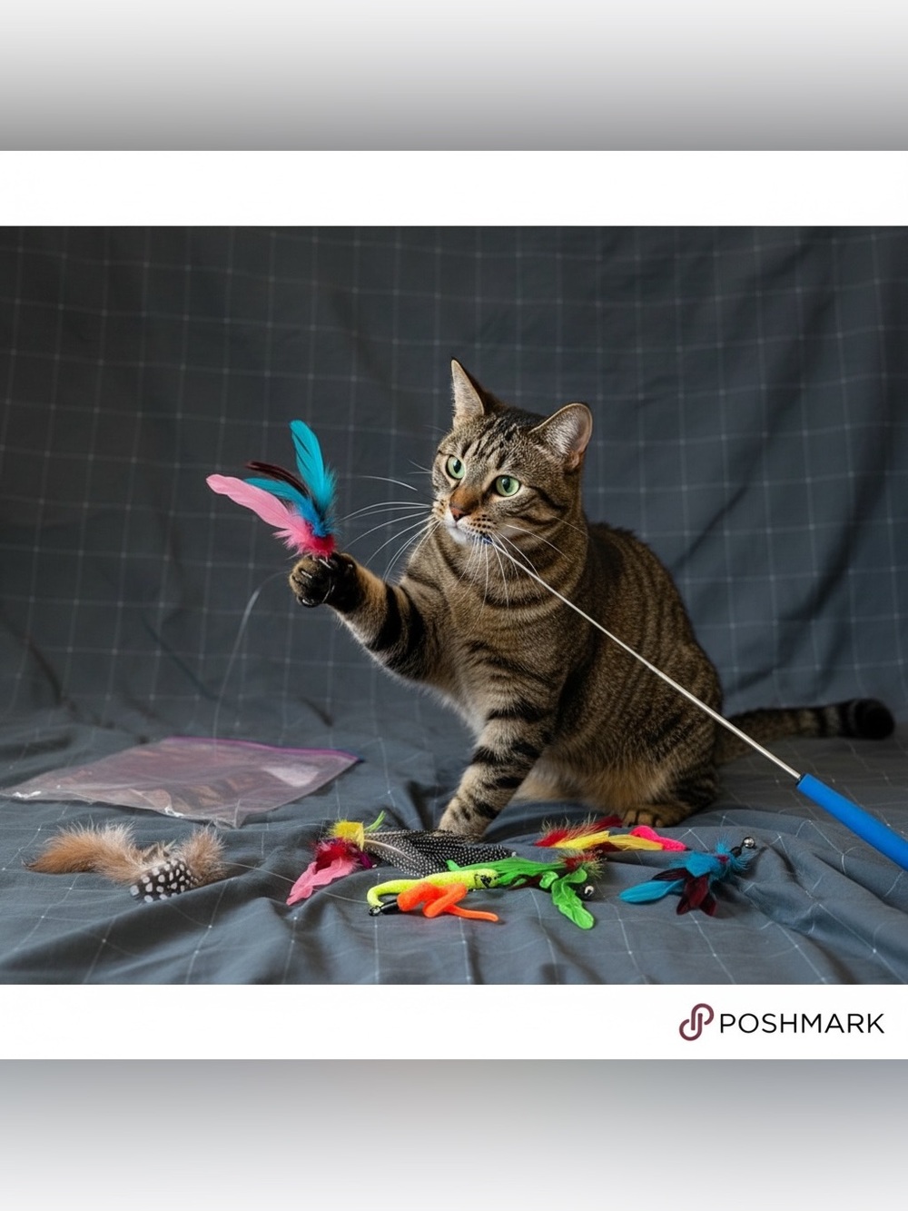 Interactive Cat Toy Wand with Feather Teasers Set of 6 Colorful Attachments